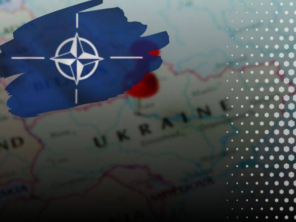 Україна також може вступити до НАТО без ПДЧ – глава посольства США