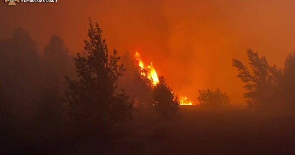 В Киевской области — лесной пожар, спасена женщина (ФОТО, ВИДЕО)
