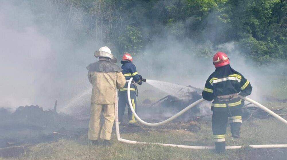 Под Киевом тушат три крупных пожара в лесхозах