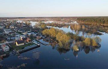 Из-за паводка глубина затоплений в Гомельской области превышает 2 метра, и это не предел