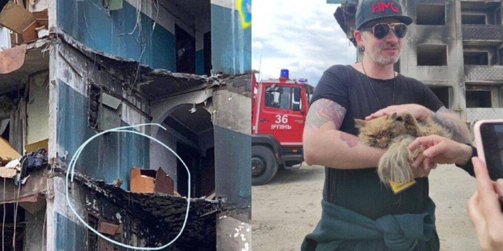 «Случилось маленькое чудо». ЗооПатруль спас котика из Бородянки, застрявшего на седьмом этаже почти разрушенного дома