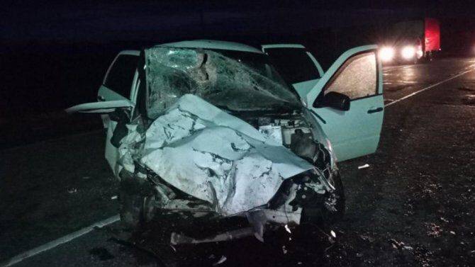 В ДТП в Малопургинском районе Удмуртии погиб молодой водитель