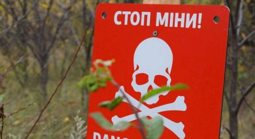 Стало известно, в каких парках Киева опасно гулять из-за снарядов и мин