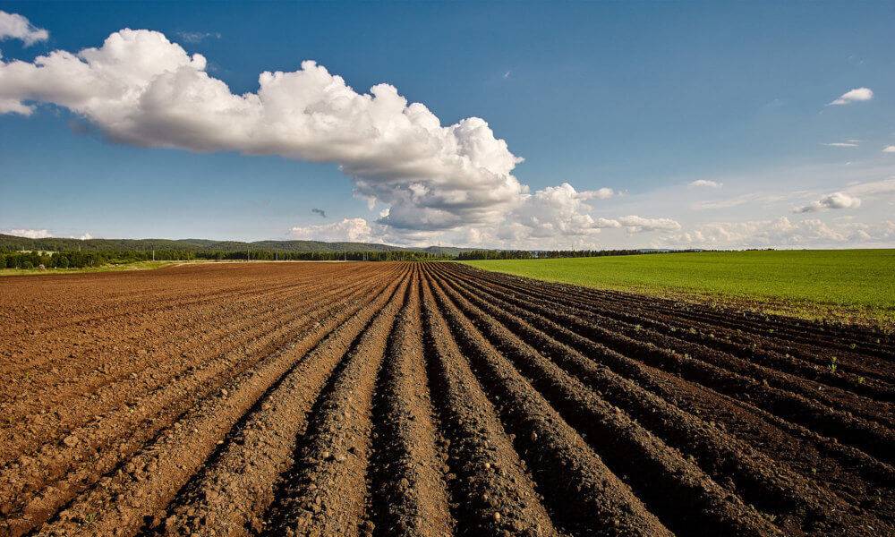 Более 8 гектаров земли введены в сельхозоборот