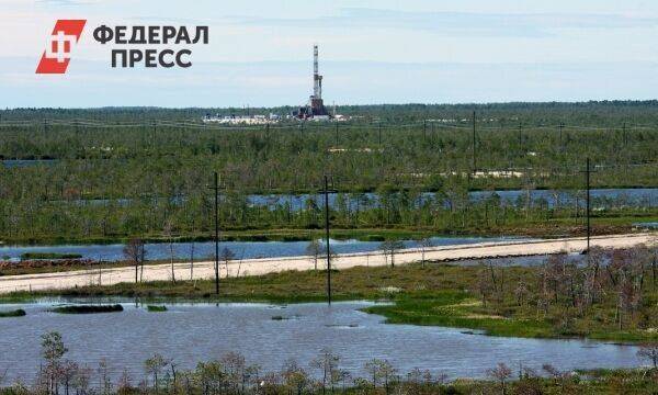 «Газпром нефть» приобрела долю компании Shell в ямальском проекте