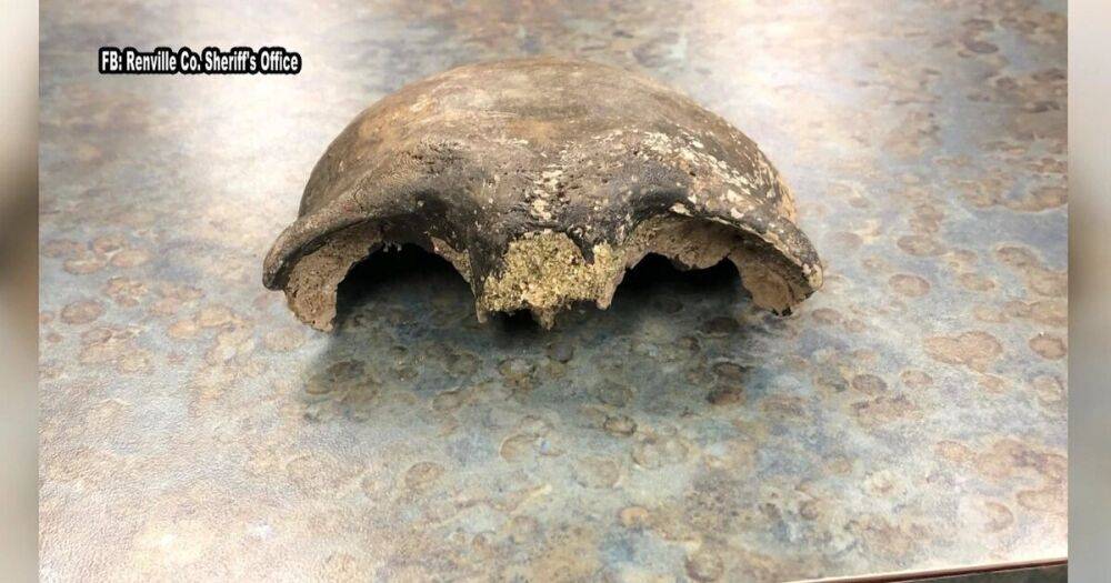 В реке Миннесоты нашли череп возрастом почти 8000 лет