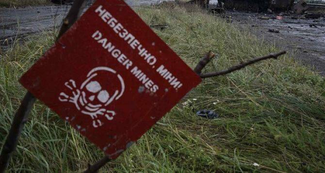 Зафиксировано более 20 миноопасных зон только под Киевом