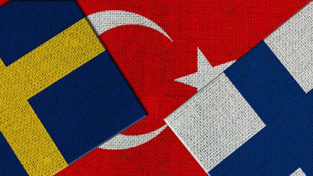 МИД Турции проведет консультации с Швецией и Финляндией в Анкаре