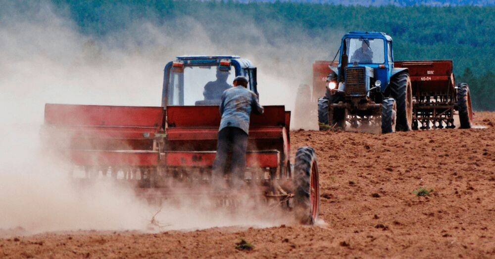 Засеяли почти 1,5 млн гектара: Полтавская область закончила посевную кампанию