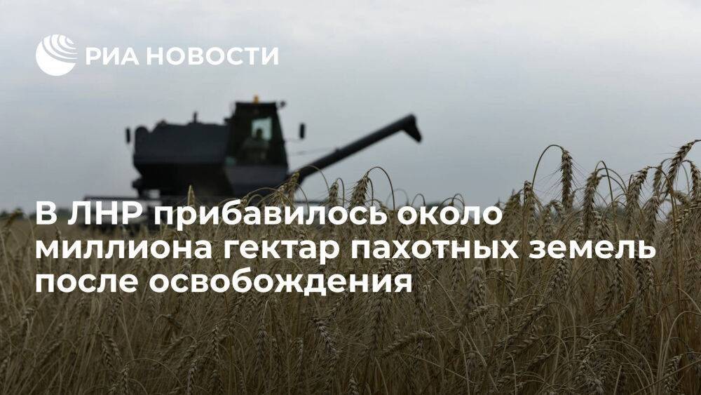 Пасечник: в ЛНР прибавилось около миллиона гектар пахотных земель после освобождения