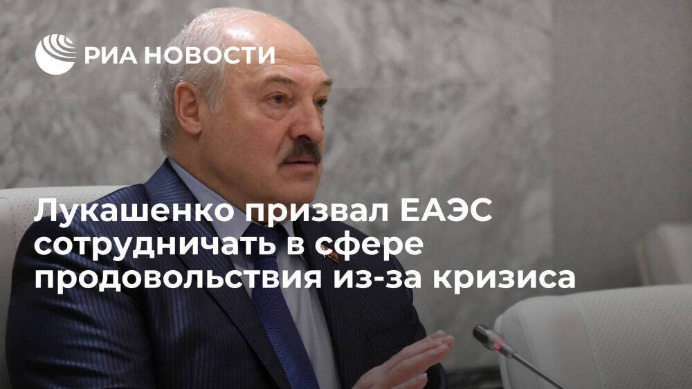 Лукашенко: страны ЕАЭС должны сотрудничать в сфере продовольствия из-за возможного кризиса