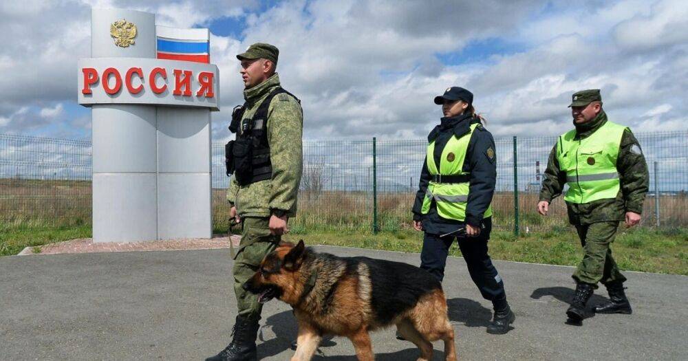 В РФ сообщили о гибели пограничников в Брянской области в бою с "украинской ДРГ"