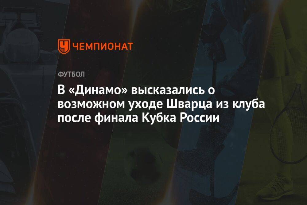 В «Динамо» высказались о возможном уходе Шварца из клуба после финала Кубка России