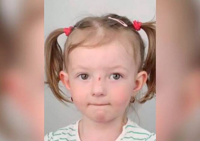 В Праге двое мужчин похитили 5-летнюю девочку