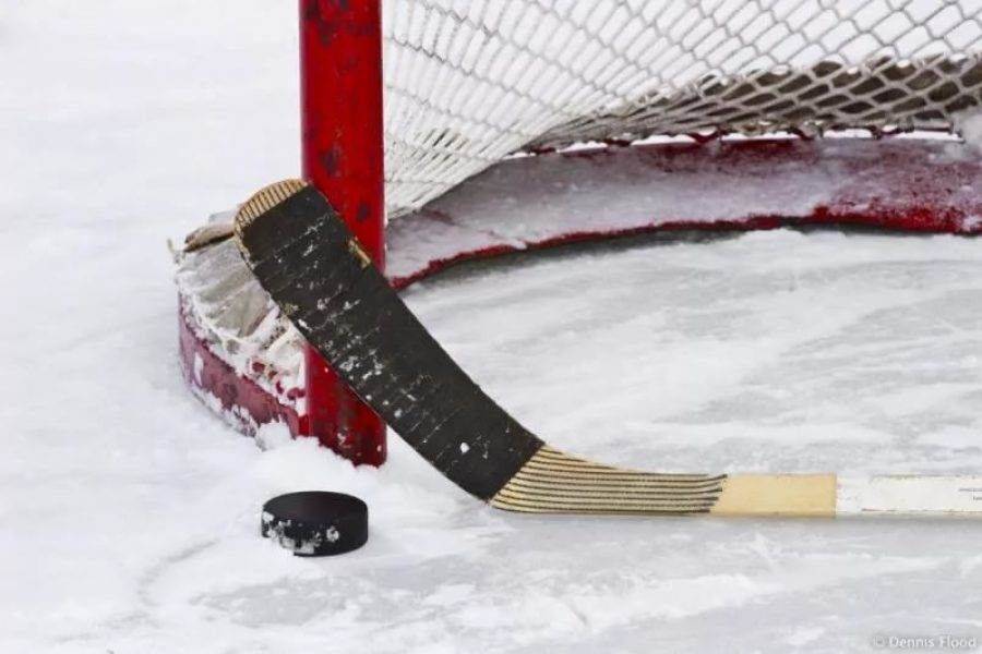 В Челябинской области застрелили 26-летнего хоккеиста