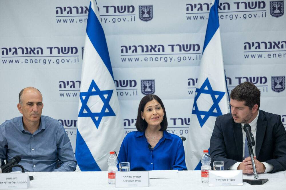 Израиль начнет активные поиски новых месторождений газа: «Наш шанс выйти на европейский рынок»