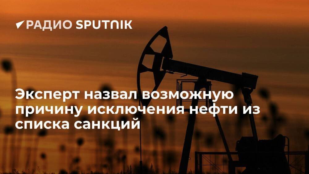 Эксперт назвал возможную причину исключения нефти из списка санкций