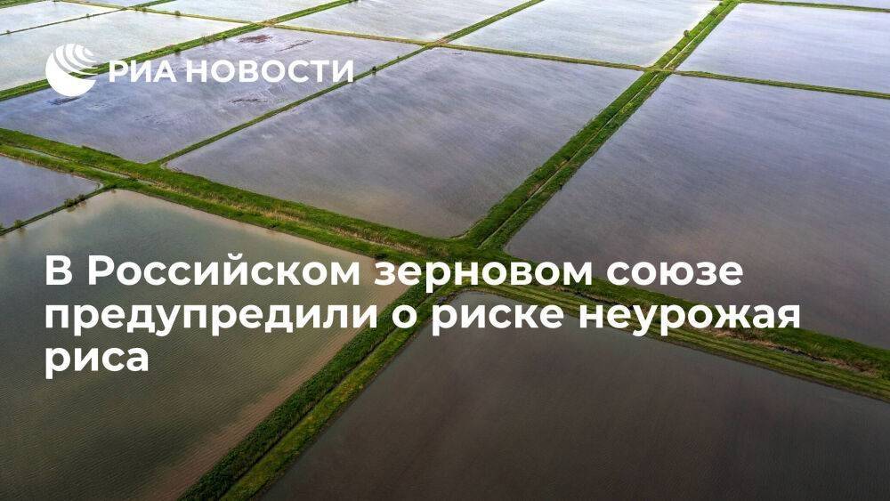 Глава РЗС: Россия может недополучить больше трети риса из-за аварии гидроузла на Кубани