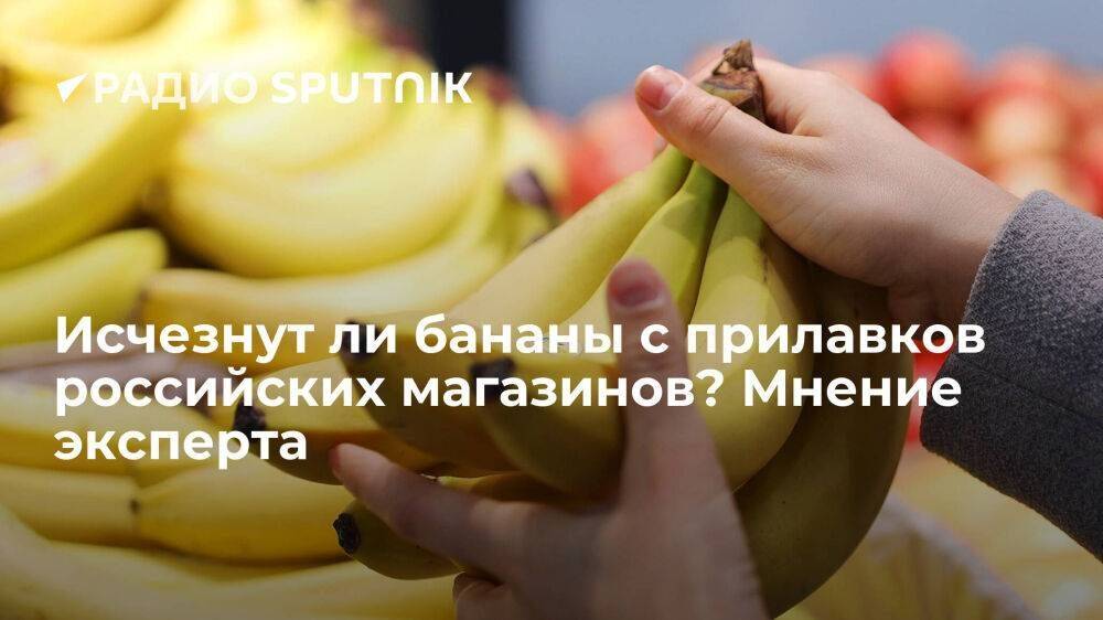 Исчезнут ли бананы с прилавков российских магазинов? Мнение эксперта