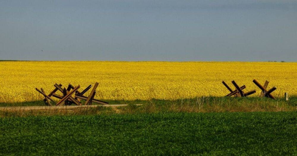 Урожай военного времени. Накормит ли Украина себя и мир в 2022 году