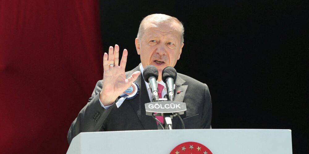 Обвинил в «стратегической близорукости». Эрдоган обрушился с критикой на страны НАТО и объяснил, зачем Турция блокирует расширение Альянса