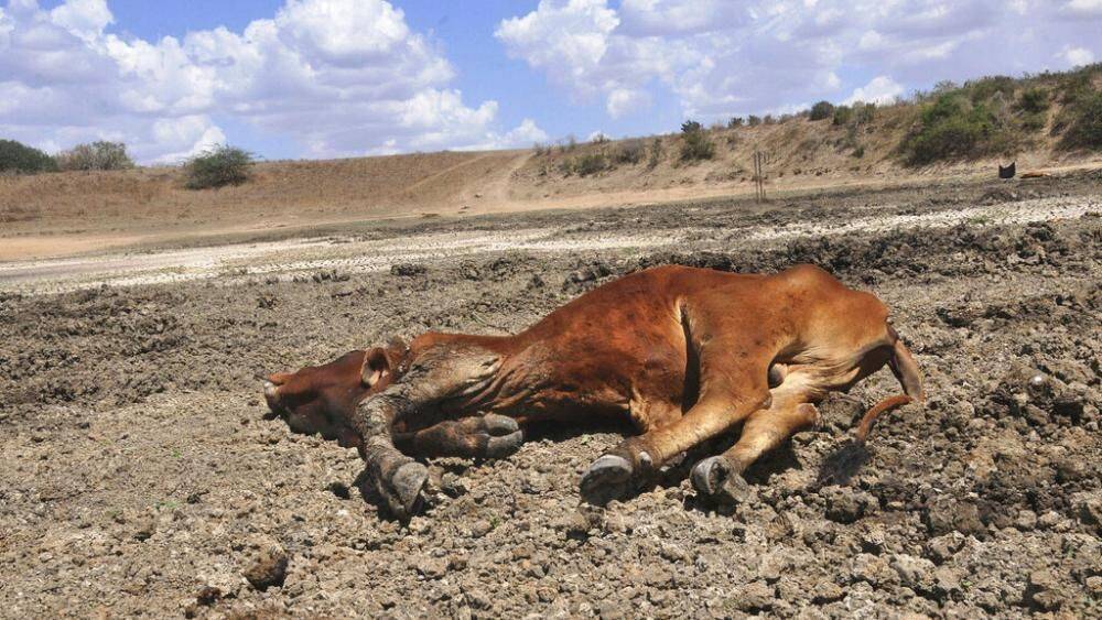 Засуха на востоке Африки