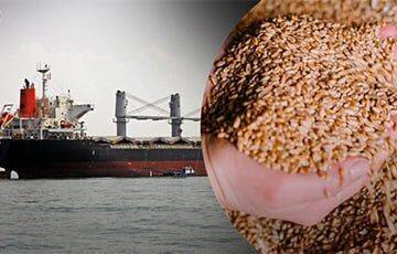 Россияне пытались продать в Египет украденное украинское зерно