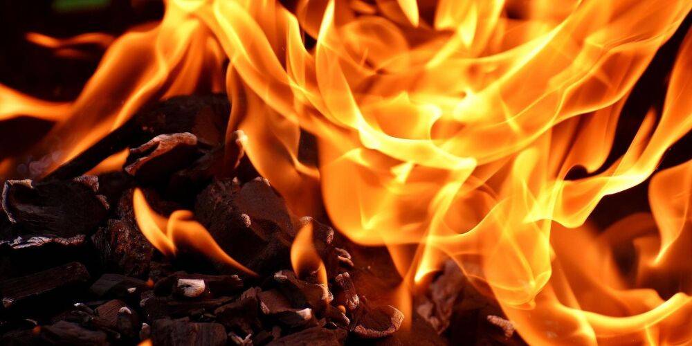 «Не паниковать». Кличко сообщил о масштабных лесных пожарах в Киевской области