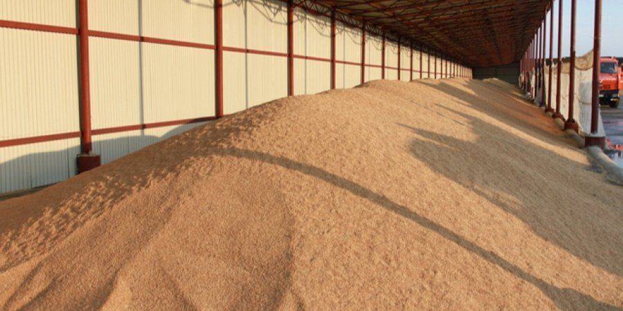 25 млн тонн зерна застряли в Украине из-за войны — ООН