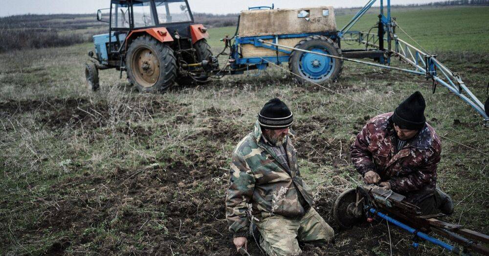 Оккупанты хотят отобрать у людей землю в Запорожской области, — Денисова