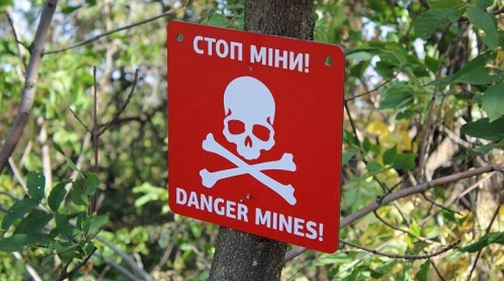 В Киевской области мужчина подорвался на мине во время прогулки