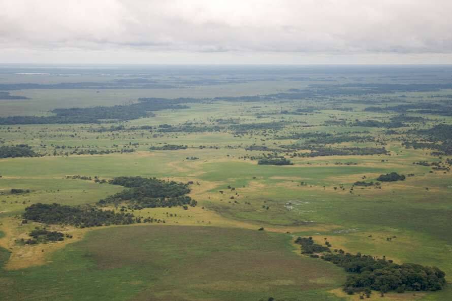 В Амазонии обнаружили потерянную «доиспанскую» цивилизацию