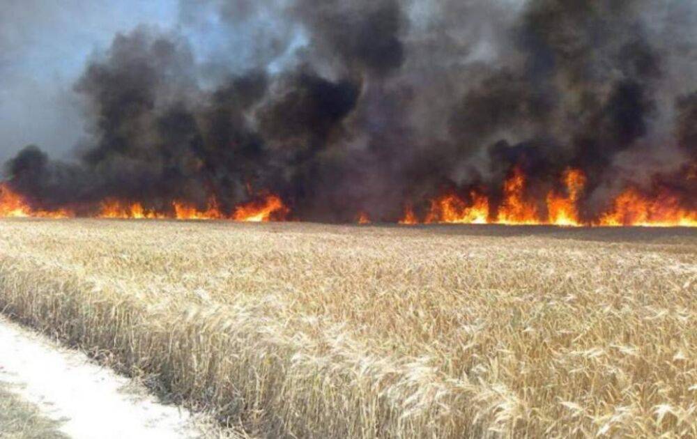 Население информируют об ответственности за земли сельхозназначения при возникновении пожара