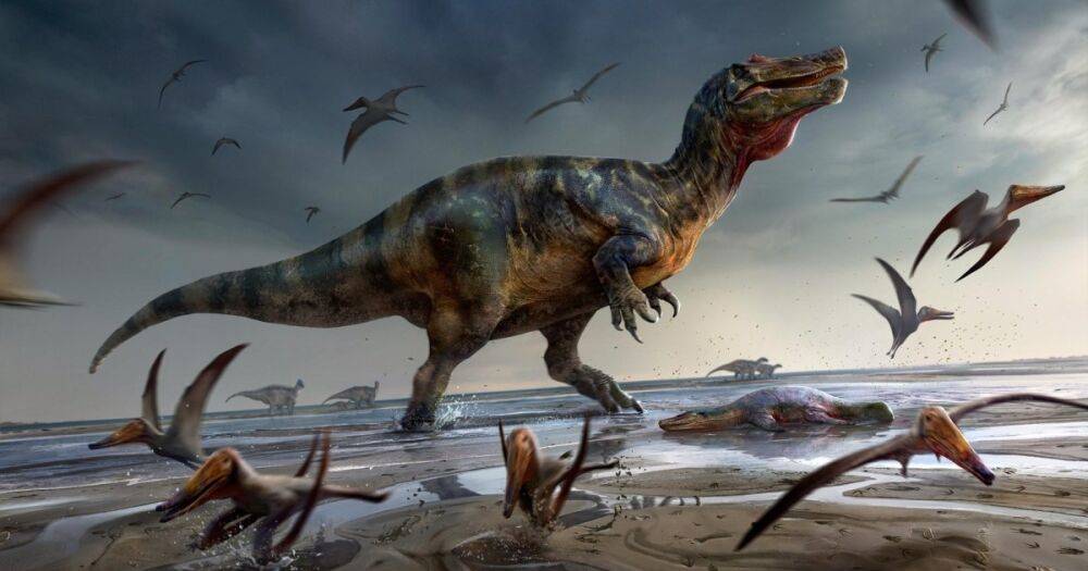 Ученые обнаружили останки крупнейшего наземного хищника Европы
