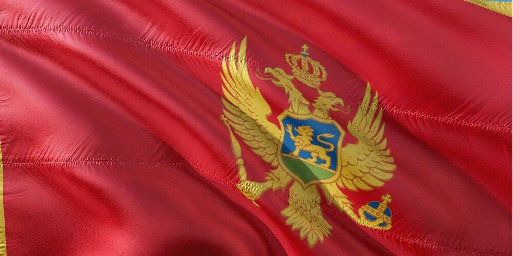 Правительство приняло решение. Черногория предоставит Украине помощь, в том числе военную