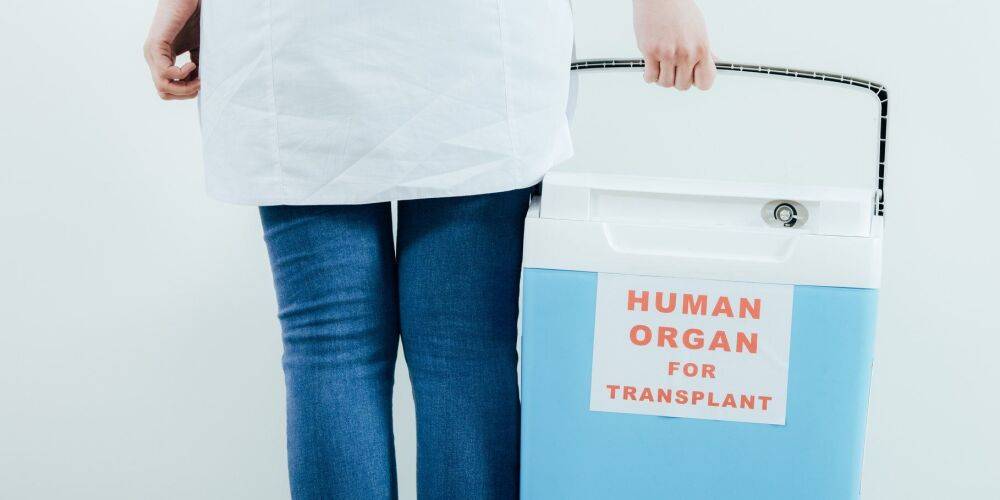 Спасение сотен тысяч жизней. Швейцарские врачи нашли эффективный способ сохранения донорских органов