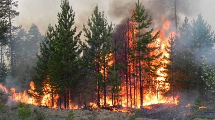 Два человека погибли в результате обстрелов на Харьковщине: разрушенные дома, горели леса