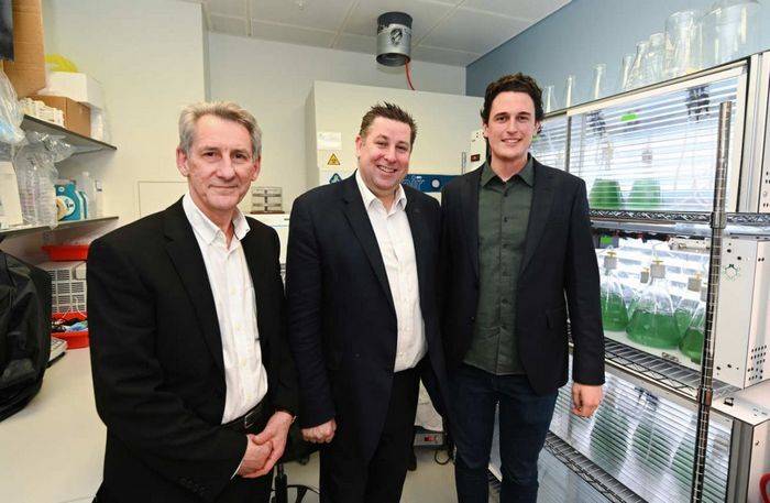 Британский стартап запустил проект BioSolar Leaf, который очищает воздух и производит белок для создания продуктов