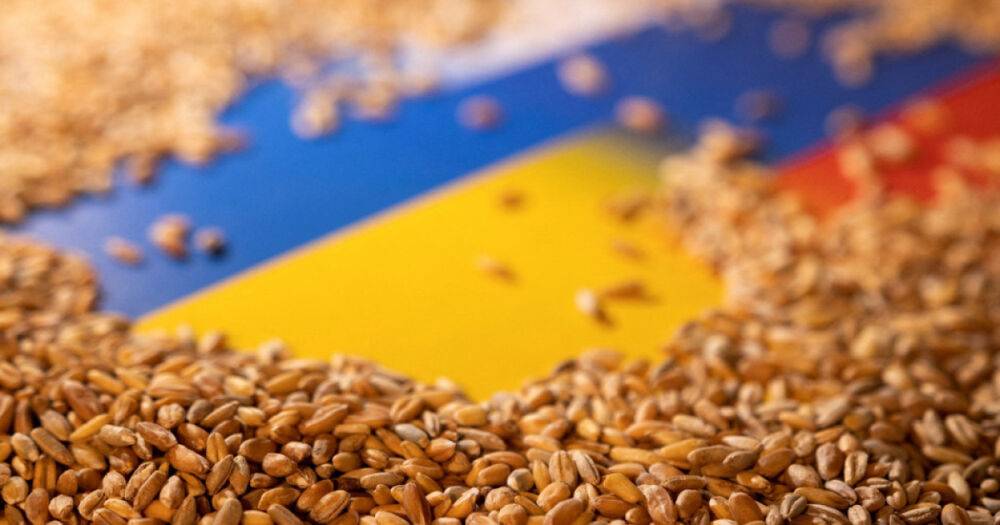 Украина экспортирует зерно по двум каналам