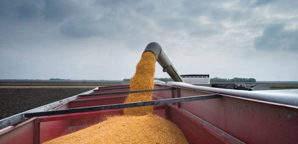 Україна експортуватиме зерно через Польщу та Румунію. Є і третій варіант