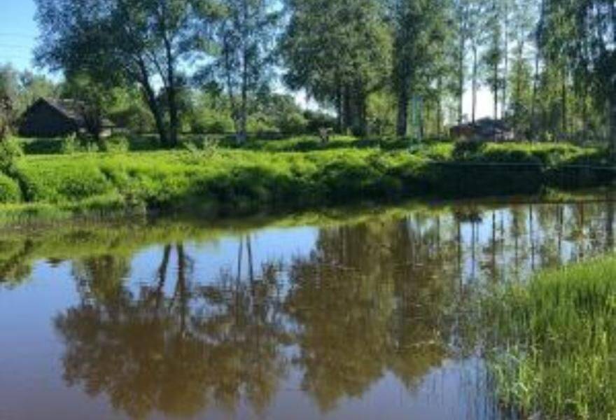 В Тверской области в реке нашли тело погибшей женщины