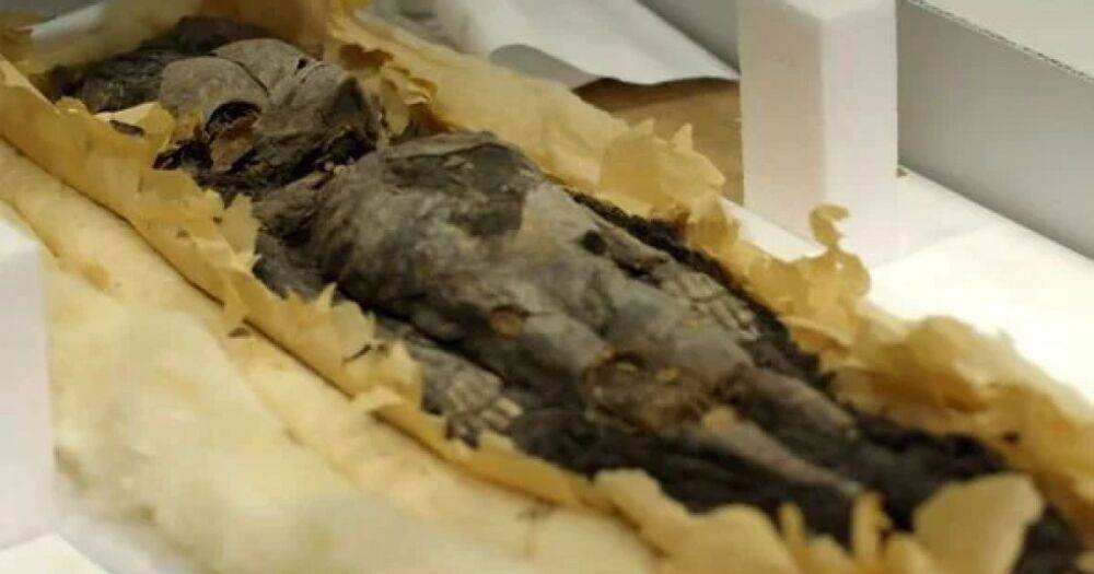 Сопровождали отца в подземный мир. Археологи нашли останки детей Тутанхамона