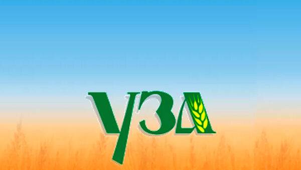 Зернотрейдеры просят правительство Украины организовать зерновой коридор через Молдову