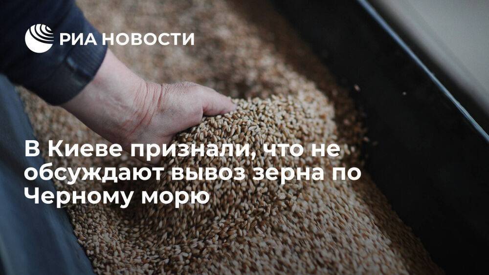 Замминистра Дмитрасевич: Киев не обсуждает возможный вывоз зерна по Черному морю