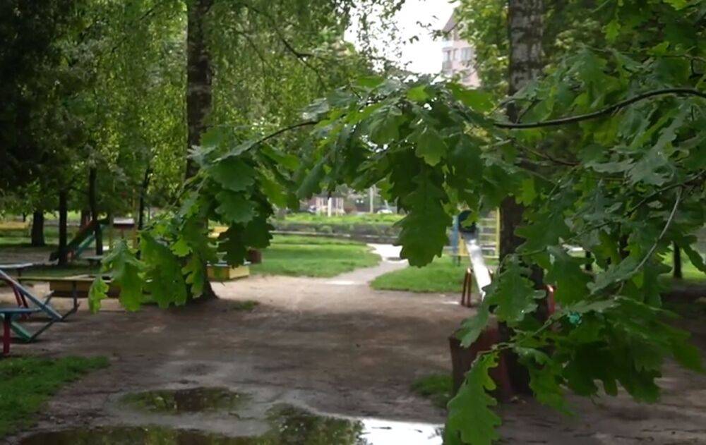 Украину будет разрывать циклон и антициклон: синоптик Диденко предупредила о погоде в среду 15 июня