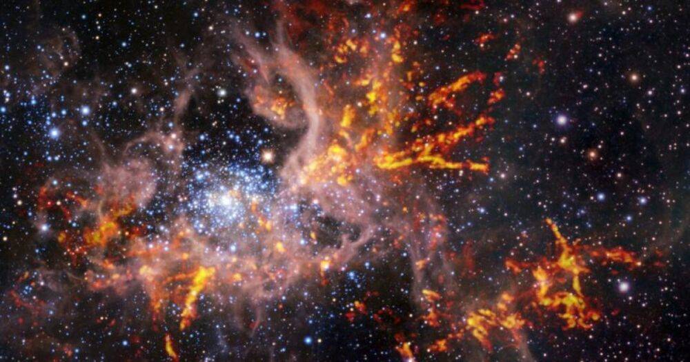 Туманность Тарантул. Ученые нашли место рождения самых больших звезд во Вселенной (фото)