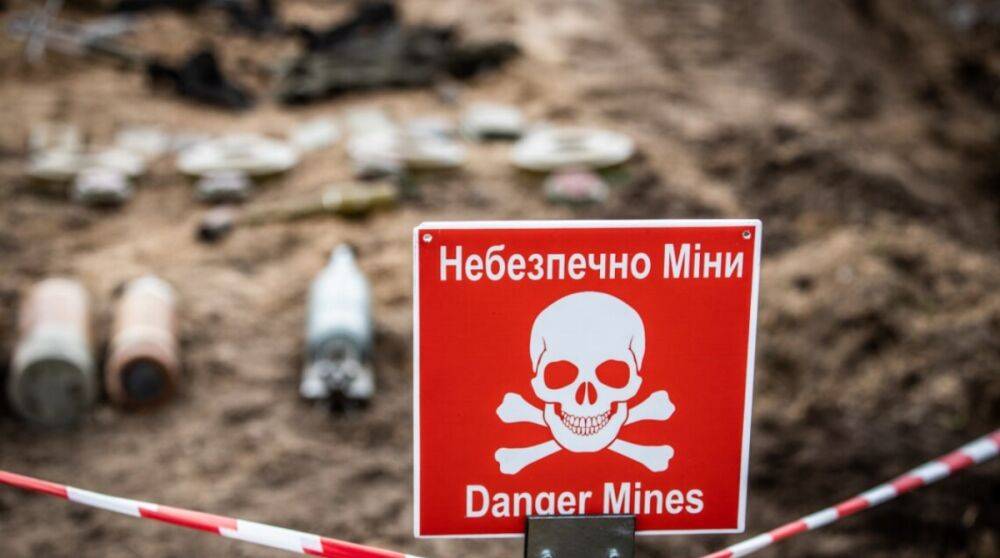 В Минобороны рассказали, какую территорию придется проверять в Украине на наличие взрывчатки