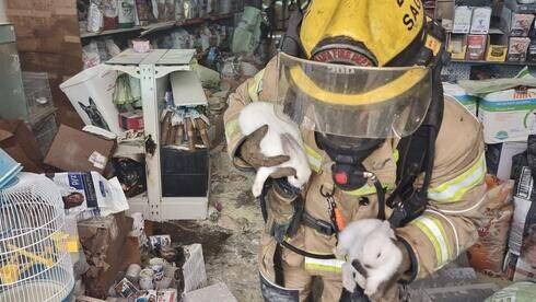 Видео: пожарные спасли животных из горящего торгового центра в Крайот