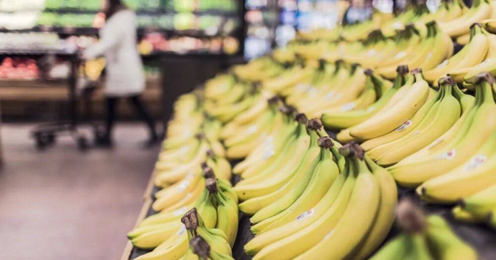 Партия кокаина под видом бананов ошибочно прибыла в супермаркеты Чехии (фото)