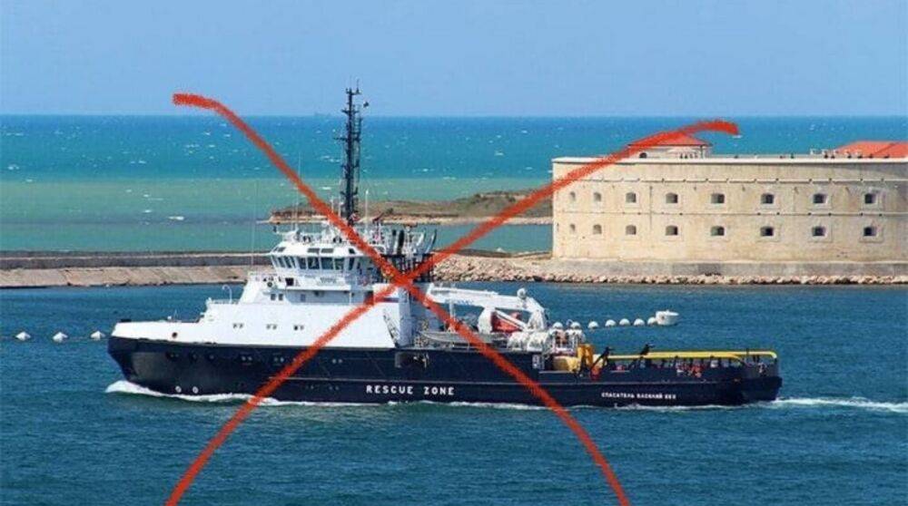 ВМС Украины уничтожили российский буксир возле острова Змеиный